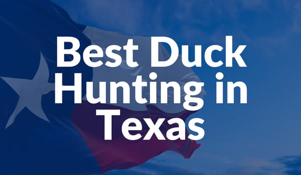 Best duck hunting in Texas